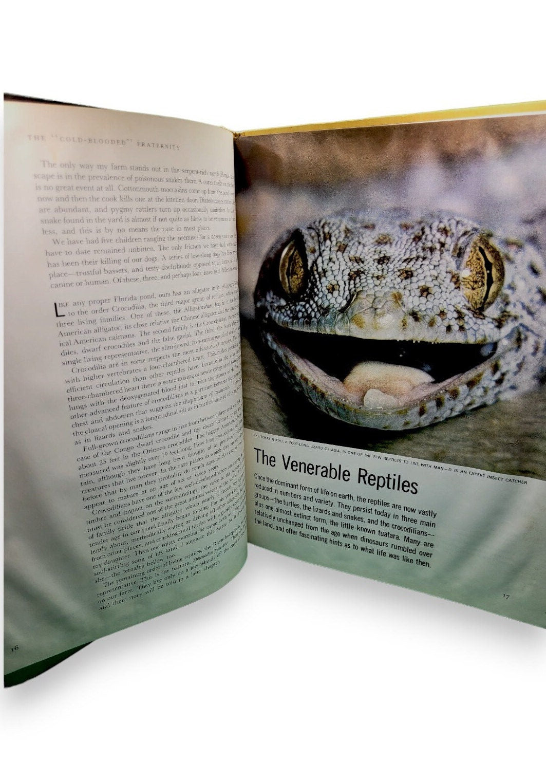 The Reptiles by Archie Carr (LIFE Nature Library) 1963